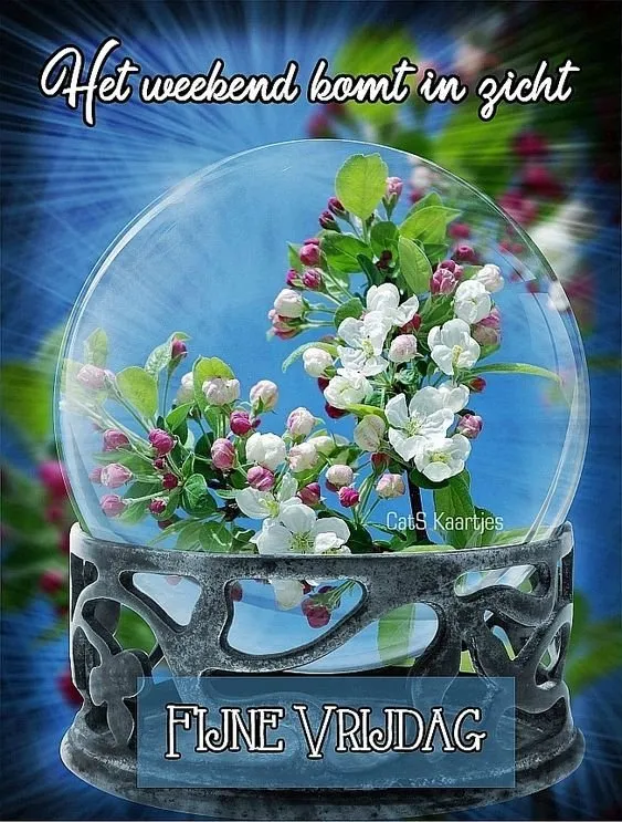 ᐅ fijne woensdag bloemen - Woensdag plaatjes