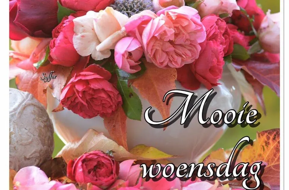 ᐅ fijne woensdag bloemen - Woensdag plaatjes