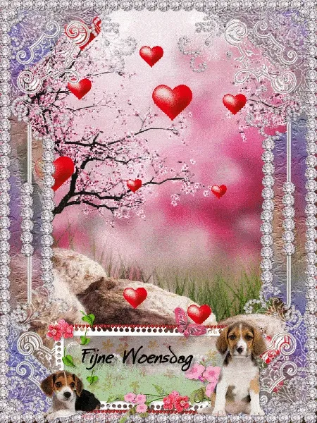 ᐅ fijne woensdag gif - Woensdag plaatjes ᐅ fijne woensdag gif - Woensdag plaatjes