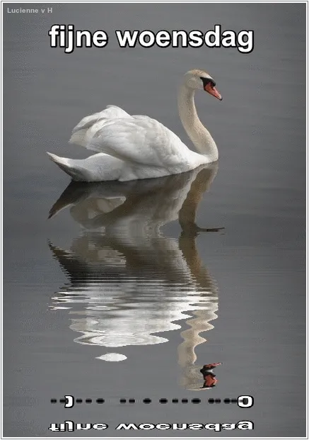 ᐅ fijne woensdag gif - Woensdag plaatjes ᐅ fijne woensdag gif - Woensdag plaatjes