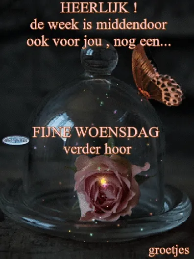 ᐅ fijne woensdag gif - Woensdag plaatjes ᐅ fijne woensdag gif - Woensdag plaatjes