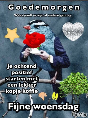 ᐅ fijne woensdag gif - Woensdag plaatjes ᐅ fijne woensdag gif - Woensdag plaatjes
