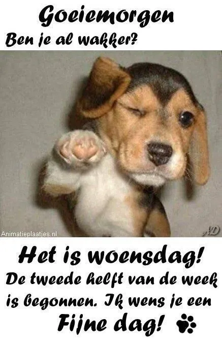 ᐅ fijne woensdag grappig - Woensdag plaatjes