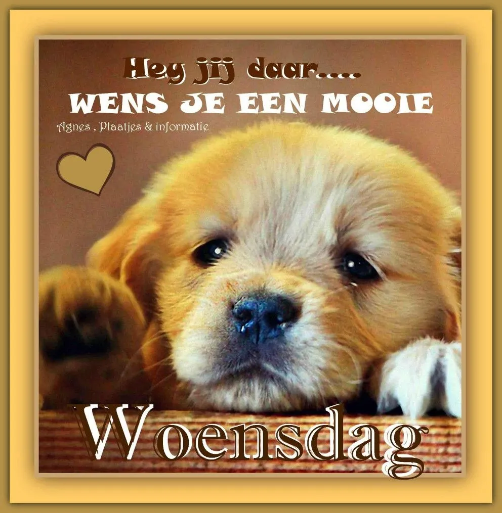 ᐅ fijne woensdag grappig - Woensdag plaatjes