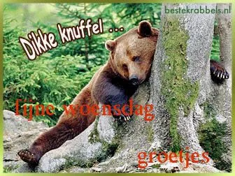 ᐅ fijne woensdag grappig - Woensdag plaatjes