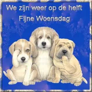 ᐅ fijne woensdag grappig - Woensdag plaatjes
