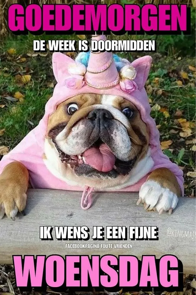 ᐅ fijne woensdag grappig - Woensdag plaatjes