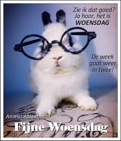 ᐅ fijne woensdag grappig - Woensdag plaatjes
