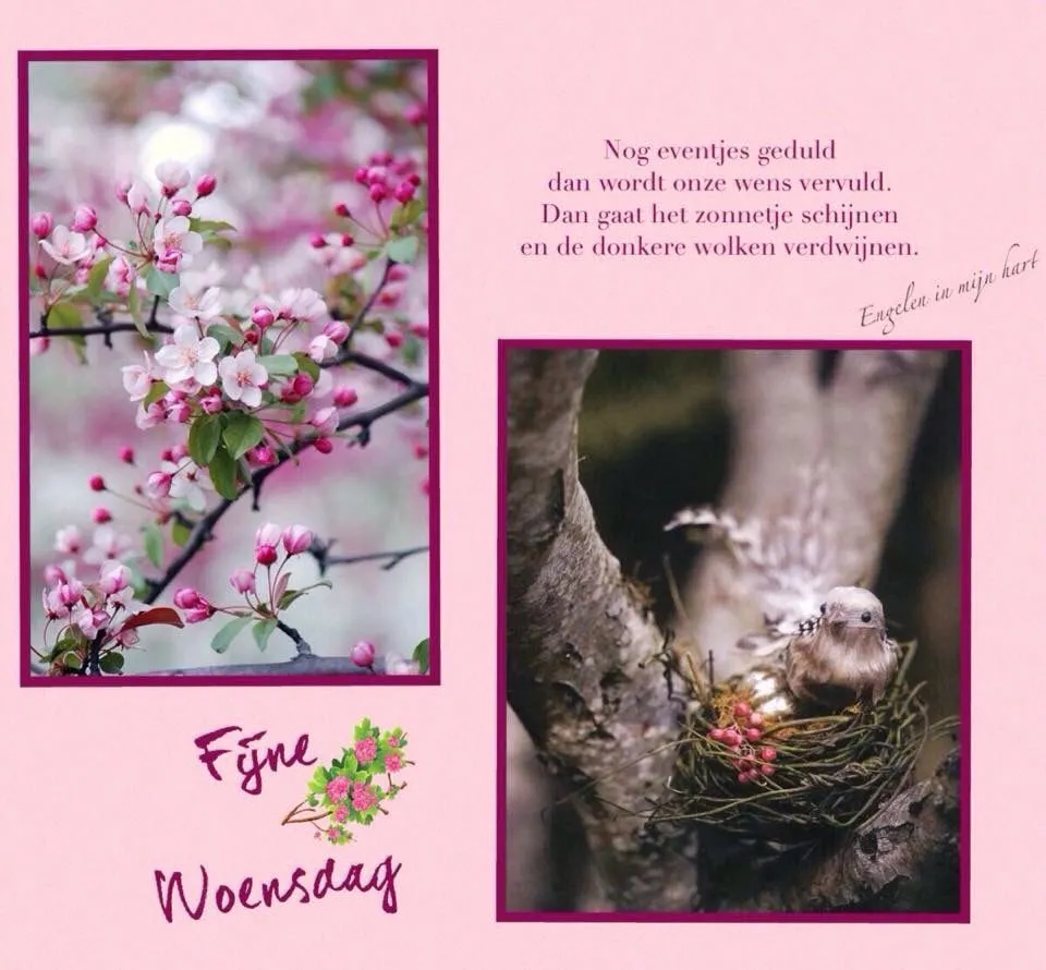 ᐅ fijne woensdag grappig - Woensdag plaatjes