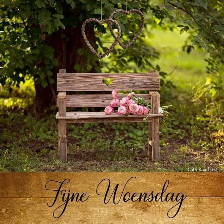 ᐅ fijne woensdag grappig - Woensdag plaatjes