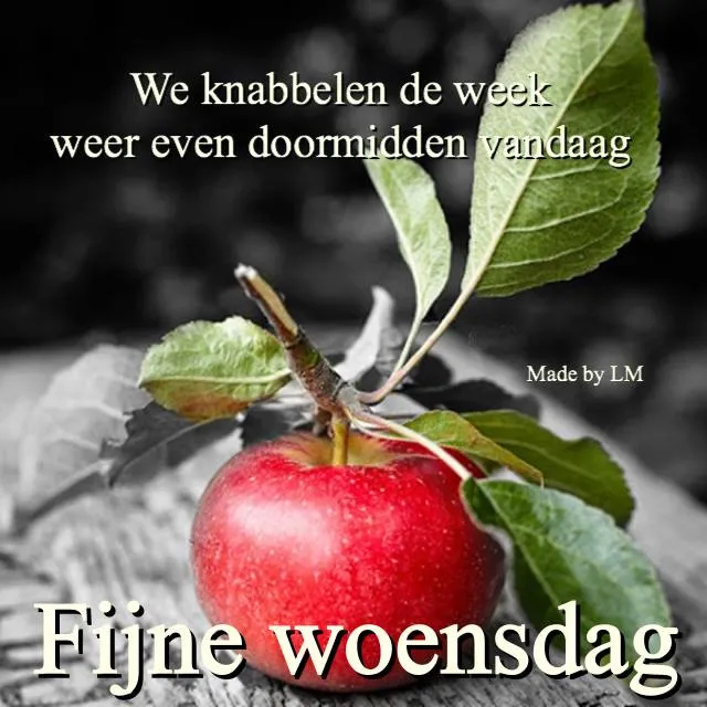 ᐅ fijne woensdag groetjes - Woensdag plaatjes ᐅ fijne woensdag groetjes - Woensdag plaatjes