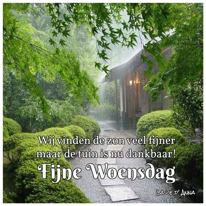 ᐅ fijne woensdag groetjes - Woensdag plaatjes ᐅ fijne woensdag groetjes - Woensdag plaatjes