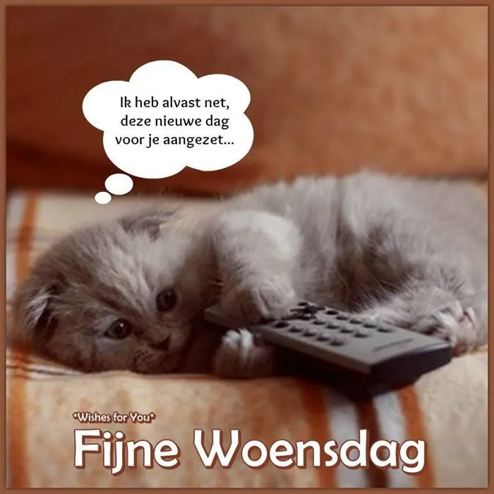 ᐅ fijne woensdag groetjes - Woensdag plaatjes ᐅ fijne woensdag groetjes - Woensdag plaatjes