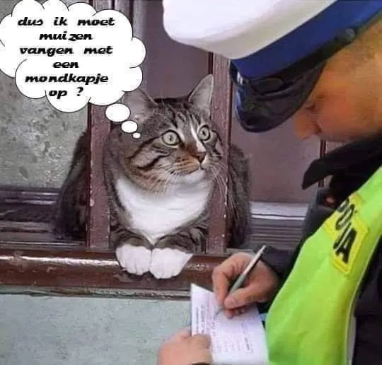 ᐅ fijne woensdag groetjes - Woensdag plaatjes ᐅ fijne woensdag groetjes - Woensdag plaatjes