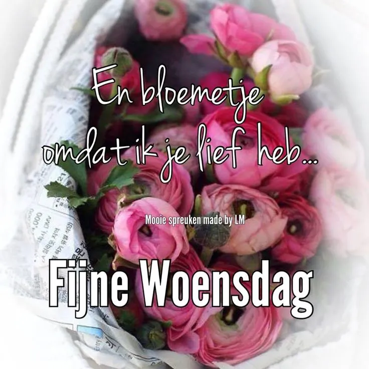 ᐅ fijne woensdag groetjes - Woensdag plaatjes ᐅ fijne woensdag groetjes - Woensdag plaatjes
