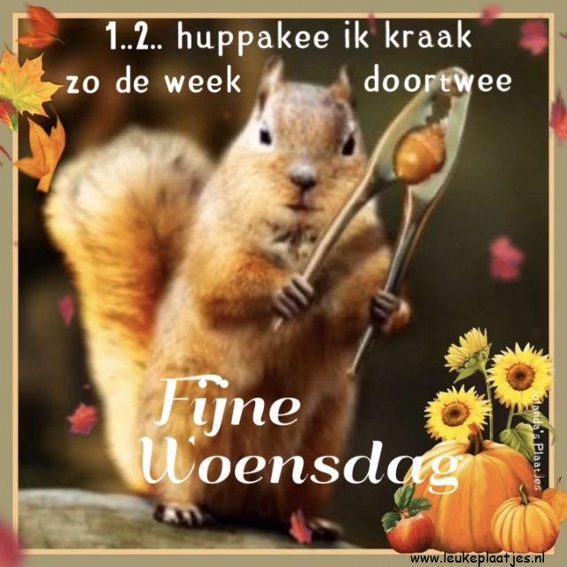 ᐅ fijne woensdag humor - Woensdag plaatjes