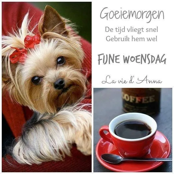 ᐅ fijne woensdag humor - Woensdag plaatjes ᐅ fijne woensdag humor - Woensdag plaatjes