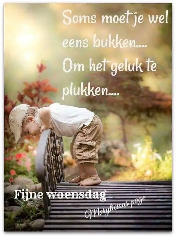 ᐅ fijne woensdag humor - Woensdag plaatjes ᐅ fijne woensdag humor - Woensdag plaatjes