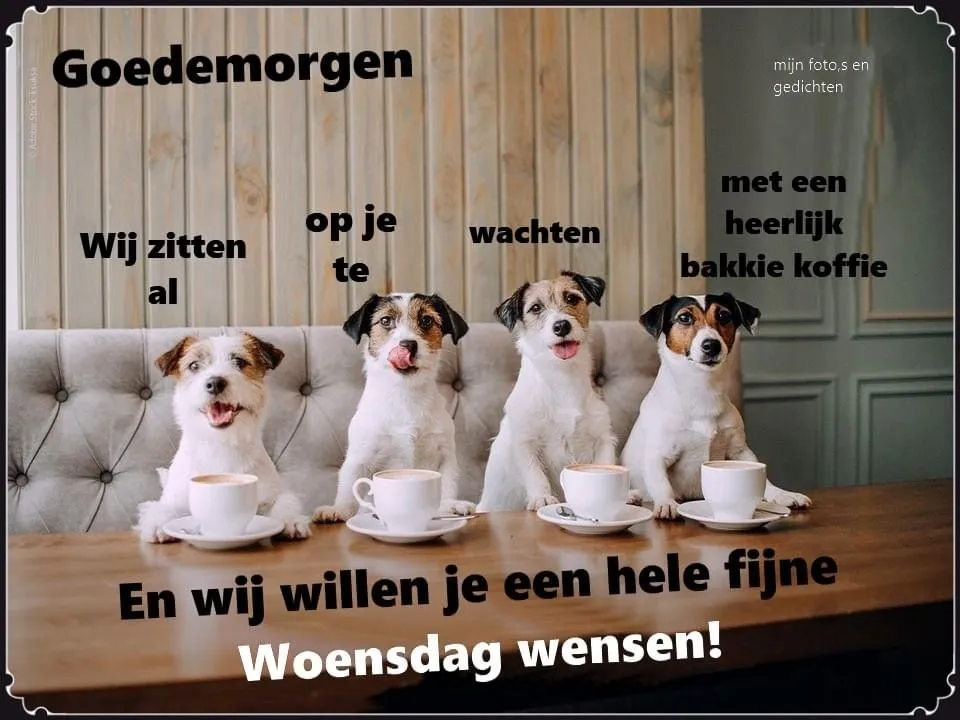 ᐅ fijne woensdag humor - Woensdag plaatjes ᐅ fijne woensdag humor - Woensdag plaatjes