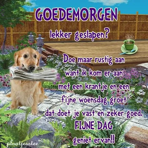 ᐅ fijne woensdag humor - Woensdag plaatjes ᐅ fijne woensdag humor - Woensdag plaatjes