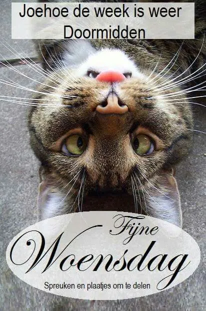 ᐅ fijne woensdag humor - Woensdag plaatjes ᐅ fijne woensdag humor - Woensdag plaatjes