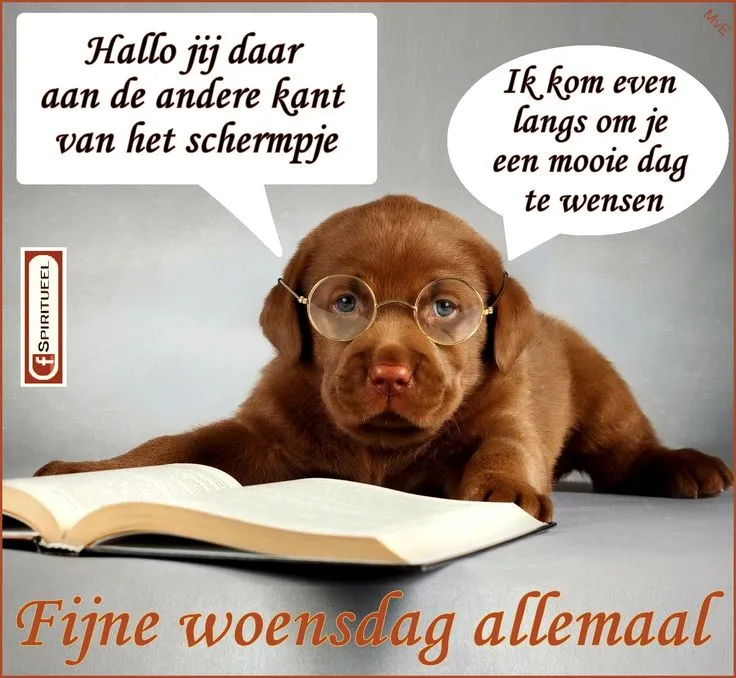 ᐅ fijne woensdag humor - Woensdag plaatjes ᐅ fijne woensdag humor - Woensdag plaatjes