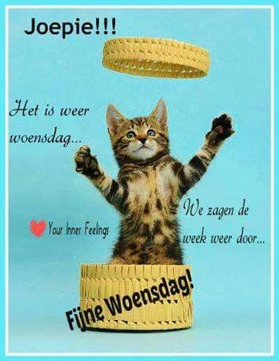 ᐅ fijne woensdag humor - Woensdag plaatjes