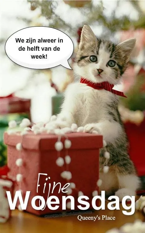 ᐅ fijne woensdag kerst - Woensdag plaatjes ᐅ fijne woensdag kerst - Woensdag plaatjes