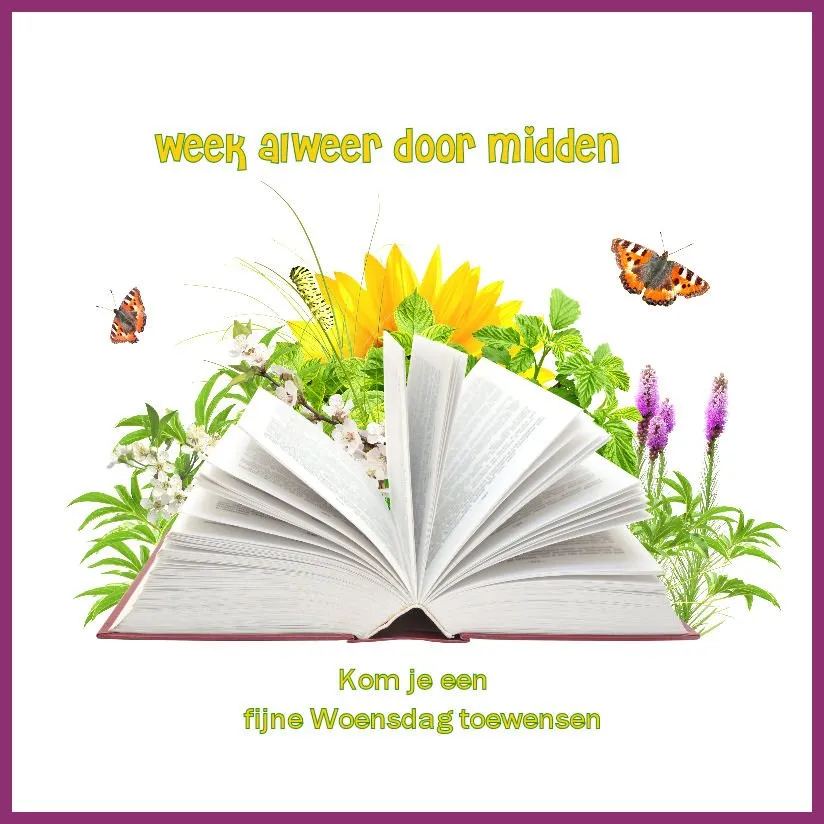 ᐅ fijne woensdag kerst - Woensdag plaatjes ᐅ fijne woensdag kerst - Woensdag plaatjes