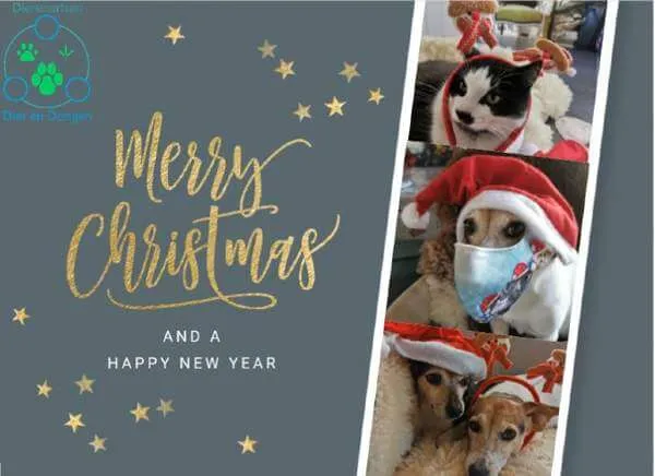 ᐅ fijne woensdag kerst - Woensdag plaatjes ᐅ fijne woensdag kerst - Woensdag plaatjes