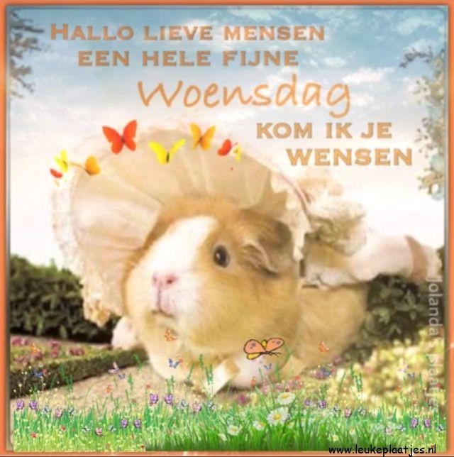 ᐅ fijne woensdag wensen - Woensdag plaatjes