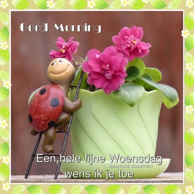 ᐅ fijne woensdag wensen - Woensdag plaatjes