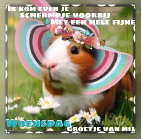 ᐅ fijne woensdag wensen - Woensdag plaatjes