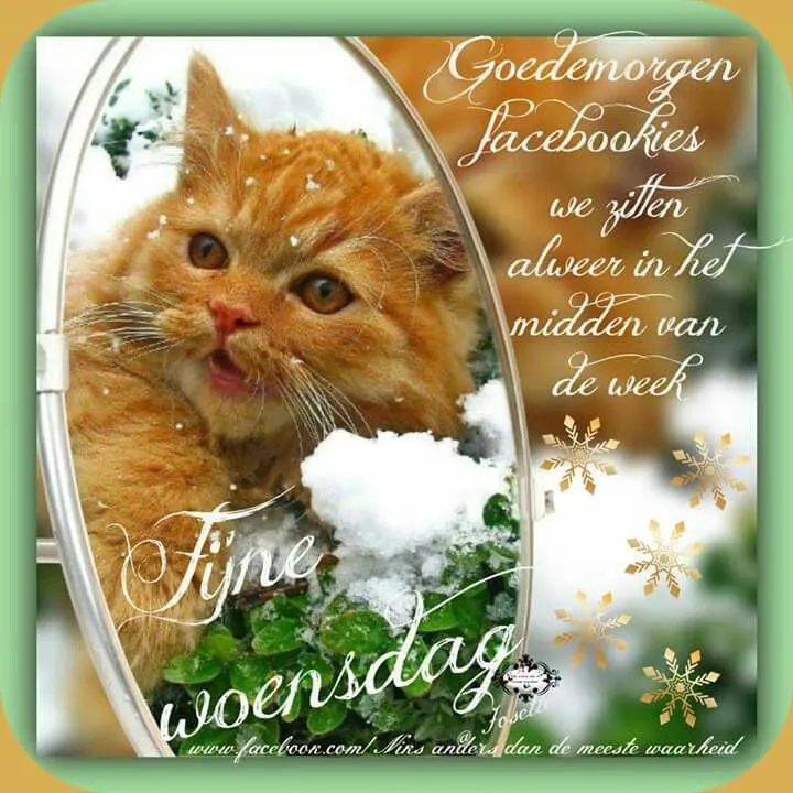 ᐅ fijne woensdag wensen - Woensdag plaatjes