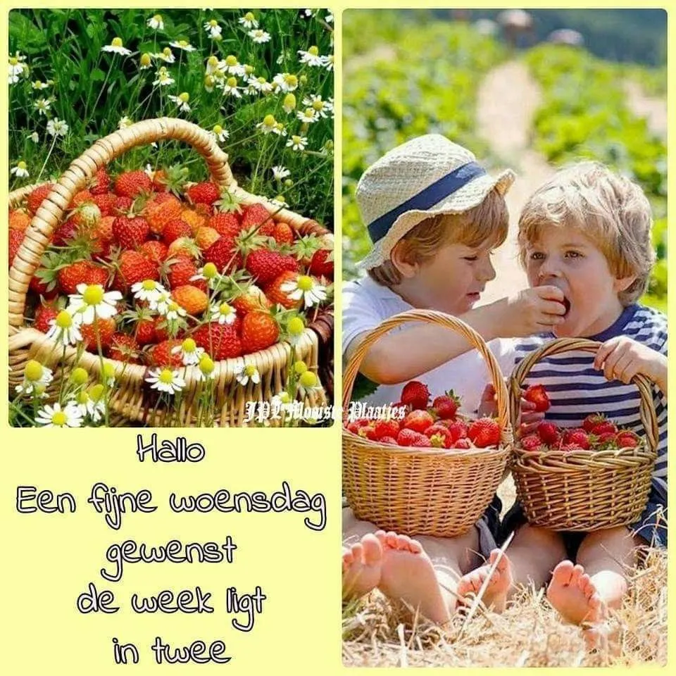 ᐅ fijne woensdag wensen - Woensdag plaatjes