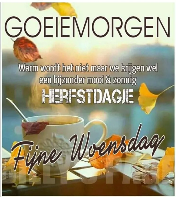 ᐅ fijne woensdag wensen - Woensdag plaatjes