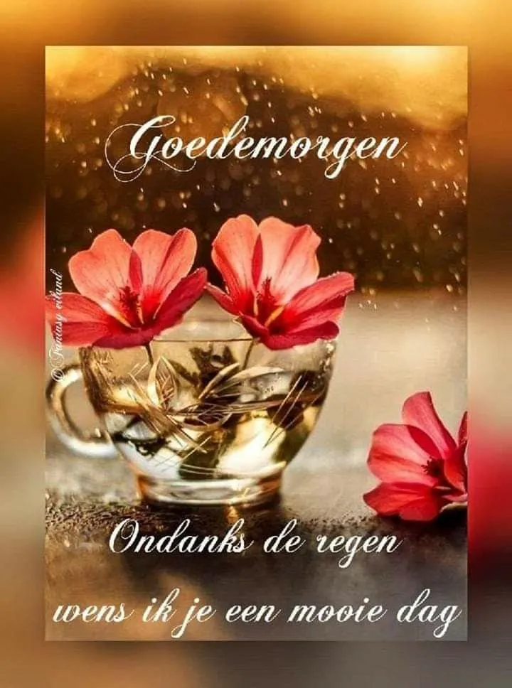 ᐅ fijne woensdag wensen - Woensdag plaatjes