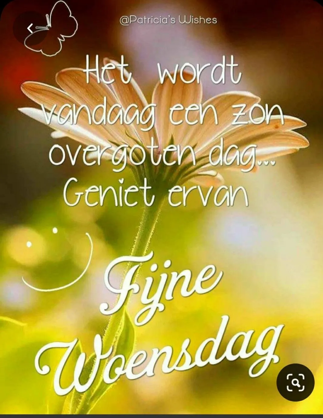 ᐅ fijne woensdag wensen - Woensdag plaatjes