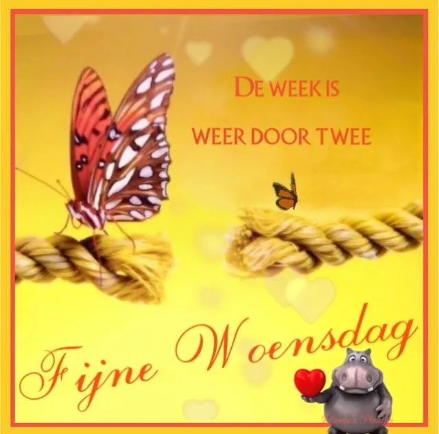 ᐅ fijne woensdag wensen - Woensdag plaatjes