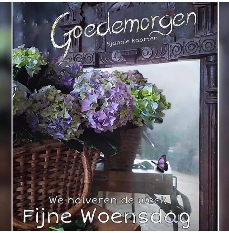 ᐅ fijne woensdag wensen - Woensdag plaatjes