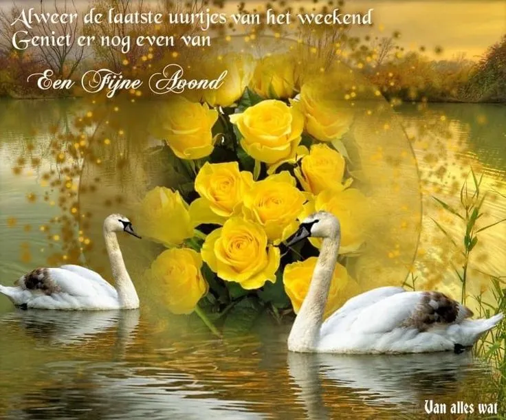 ᐅ fijne woensdag wensen - Woensdag plaatjes