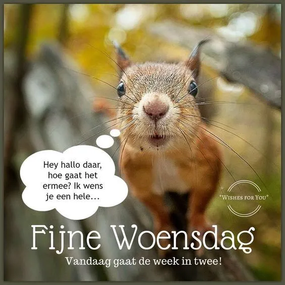 ᐅ fijne woensdag wensen - Woensdag plaatjes