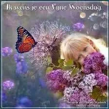 ᐅ fijne woensdag wensen - Woensdag plaatjes