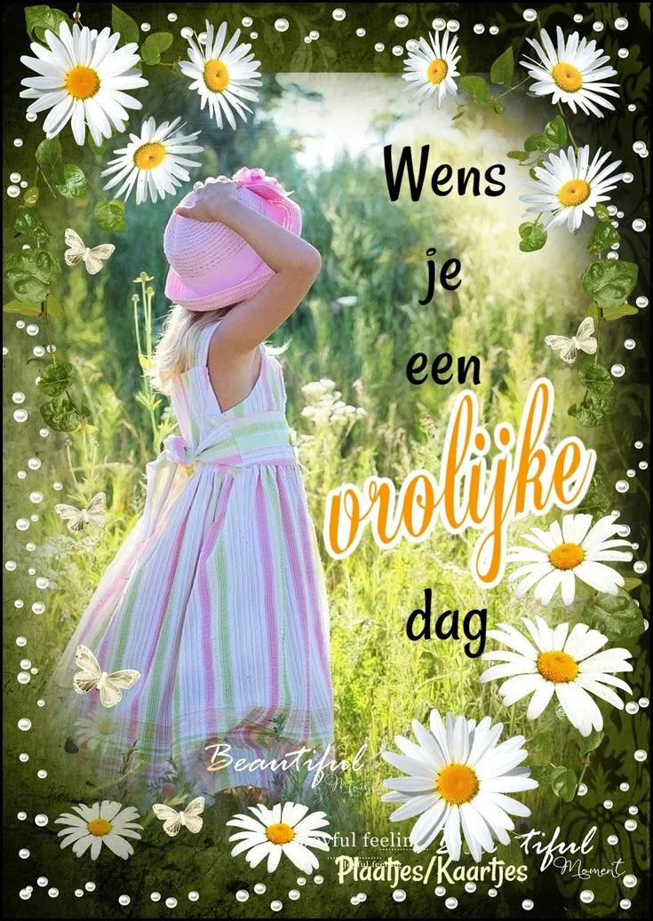 ᐅ fijne woensdag wensen - Woensdag plaatjes