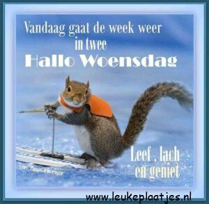 fijne woensdag winter