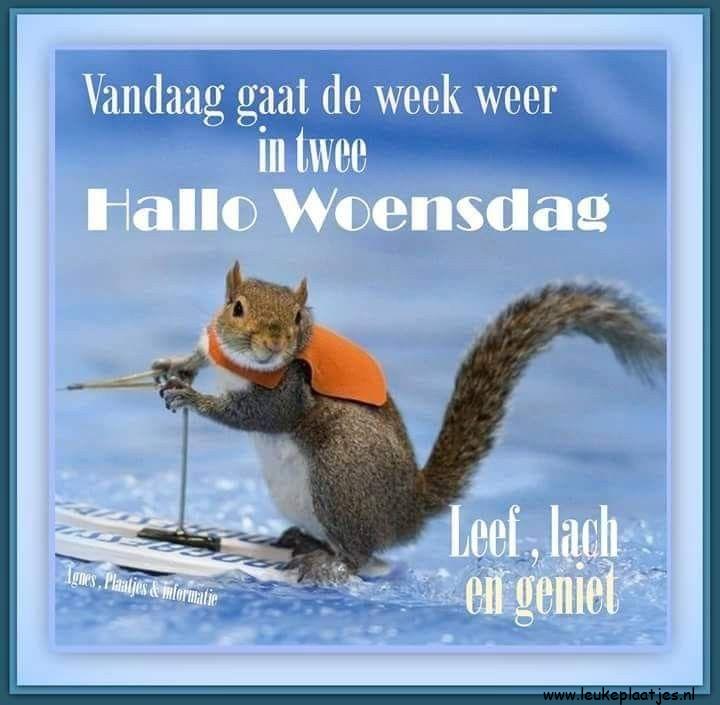 ᐅ fijne woensdag winter - fijne woensdag winter plaatjes