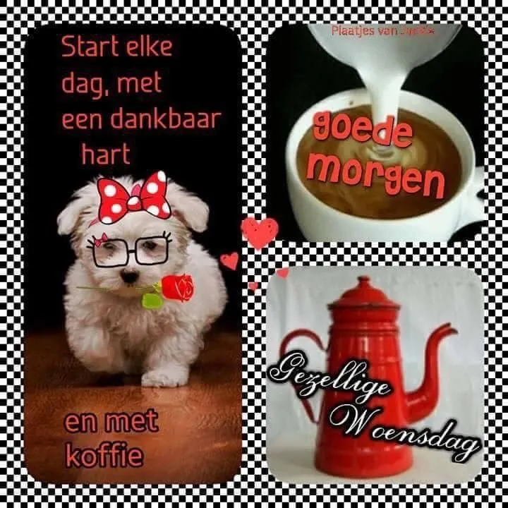 ᐅ fijne woensdag winter - Woensdag plaatjes