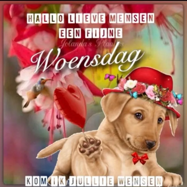 ᐅ fijne woensdag winter - Woensdag plaatjes