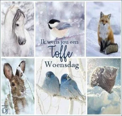 ᐅ fijne woensdag winter - Woensdag plaatjes