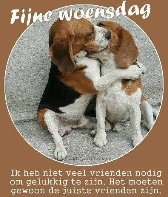 ᐅ fijne woensdag winter - Woensdag plaatjes